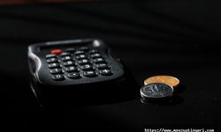 İptal Edilen Geçici Görevde Memura Hangi Giderler Ödenir ?