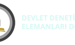 Devlet Denetim Elemanları Derneği'nden zam teklifine ilişkin açıklama