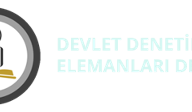 Devlet Denetim Elemanları Derneği'nden zam teklifine ilişkin açıklama