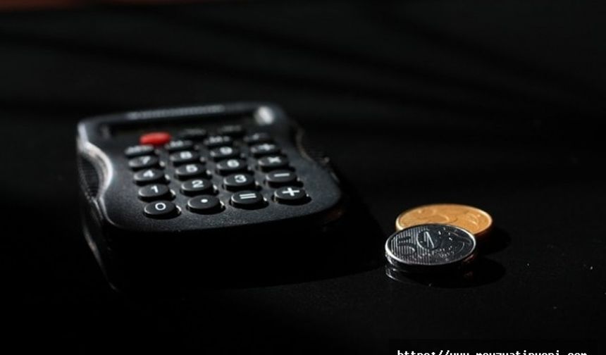 İptal Edilen Geçici Görevde Memura Hangi Giderler Ödenir ?